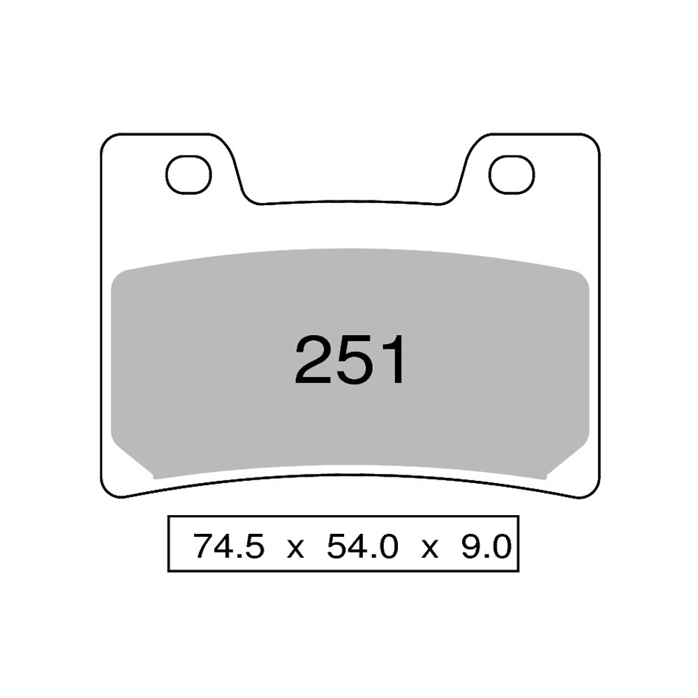 Pastiglie freno anteriori Nissin serie RS per YAMAHA TDM 850 1996-2001