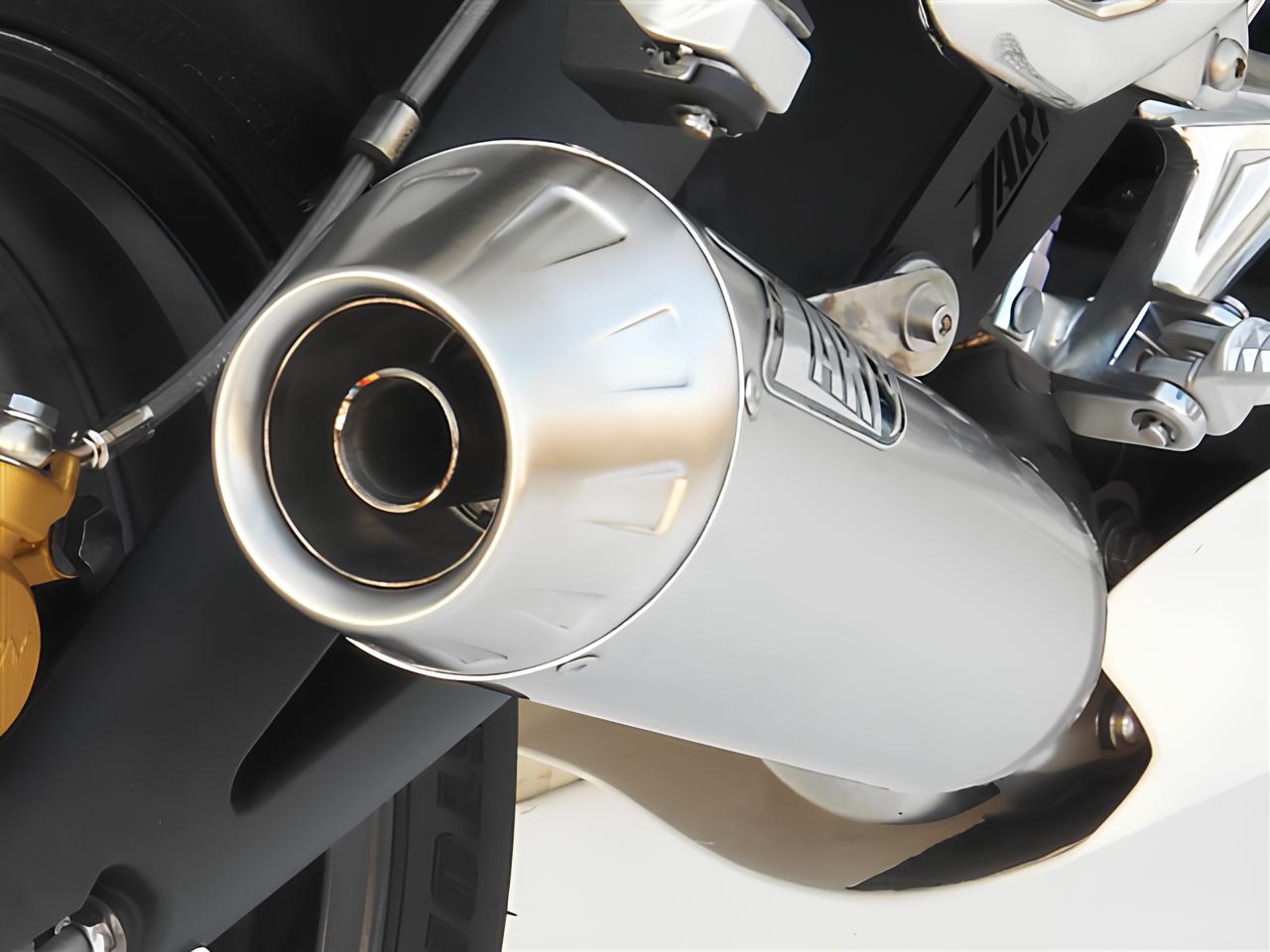 Slip-On Zard Acciaio Inox Omologato Satinato Fondello Inox per TRIUMPH STREET TRIPLE 675 2007-2012