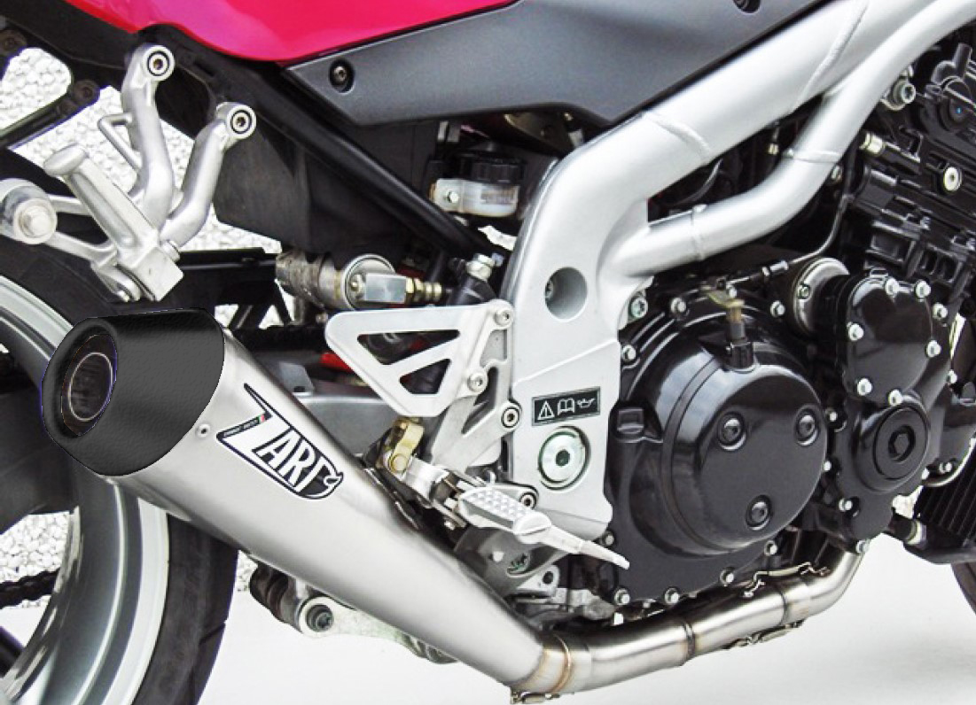 Slip-On Zard "CONICO" Acciaio Inox Fondello Carbonio Racing Satinato per TRIUMPH SPEED TRIPLE 955 2002-2004